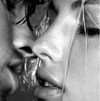 /album/fotogaleria/a264-med-gif/