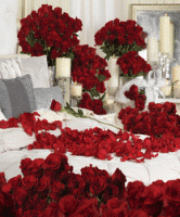 /album/fotogaleria/logo-large-gif/