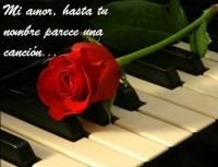 /album/fotogaleria/a19281348-7804-melodia-de-amor-h075448-l-jpg/