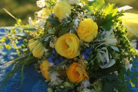 /album/fotogaleria/flores-dia-de-las-madres-10-de-mayo-para-mensajes-02-jpg/